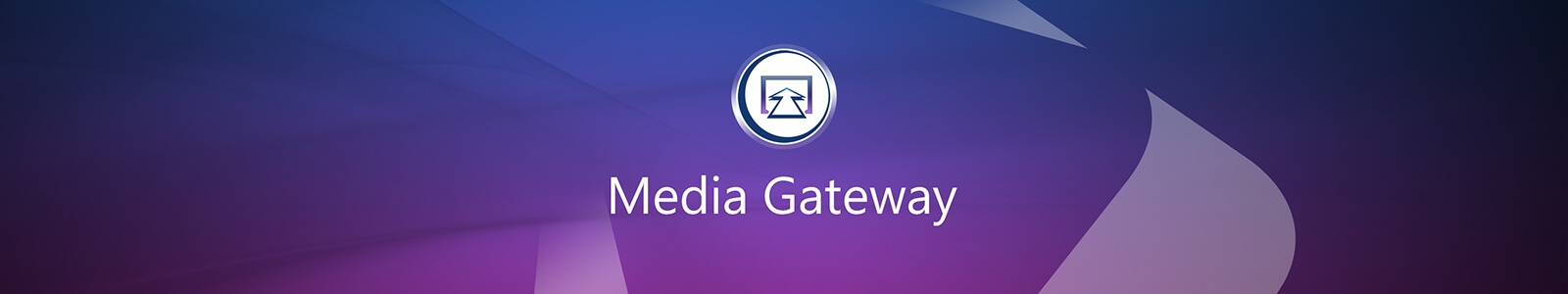 Media Gateway
